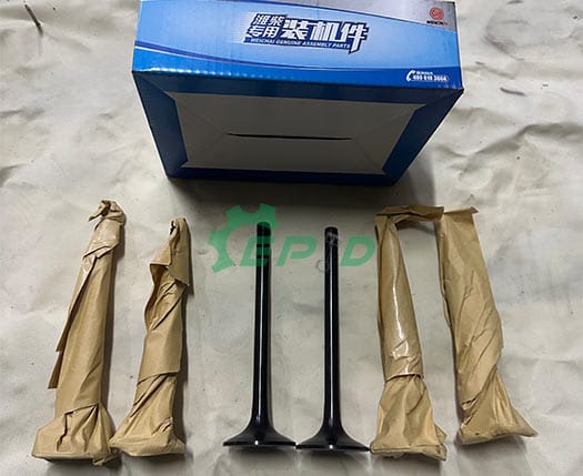 Baudouin-Weichai-Intake-Valve-2