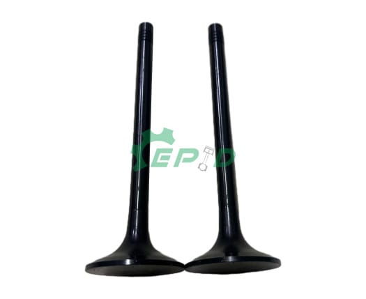 Baudouin-Weichai-Intake-Valve