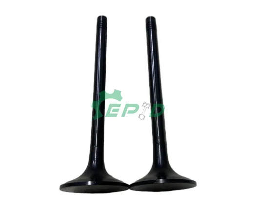 Baudouin-Weichai-Intake-Valve