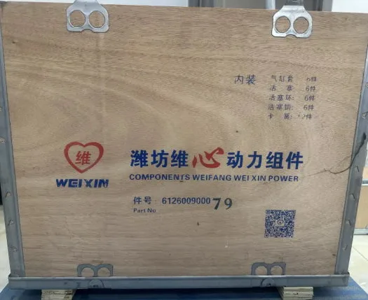 Weichai Engine Overhaul Repair Kit WD618 612600900080 (4)