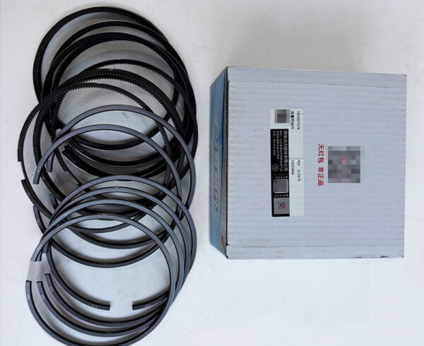 Weichai WP9 Piston Ring 1003321678 2