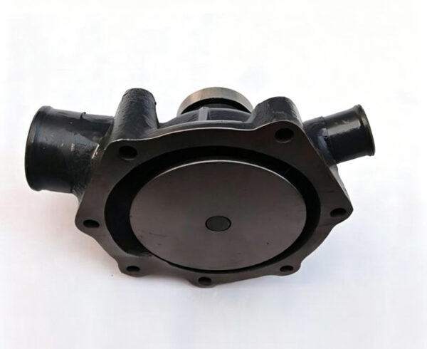 Baudouin 4M10G110 Water Pump 1000429385 6